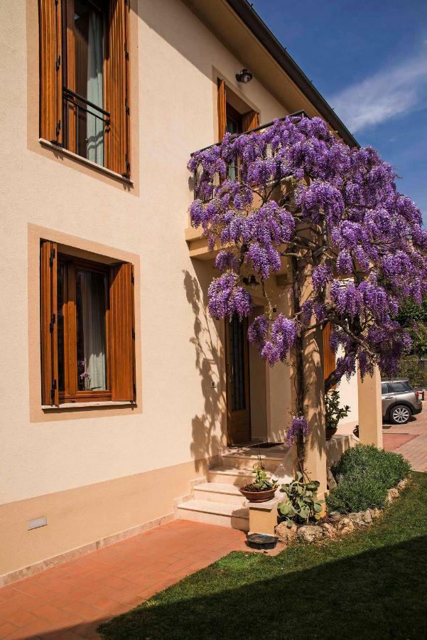 시에나 Casa Il Glicine A Due Passi Dal Centro 아파트 외부 사진